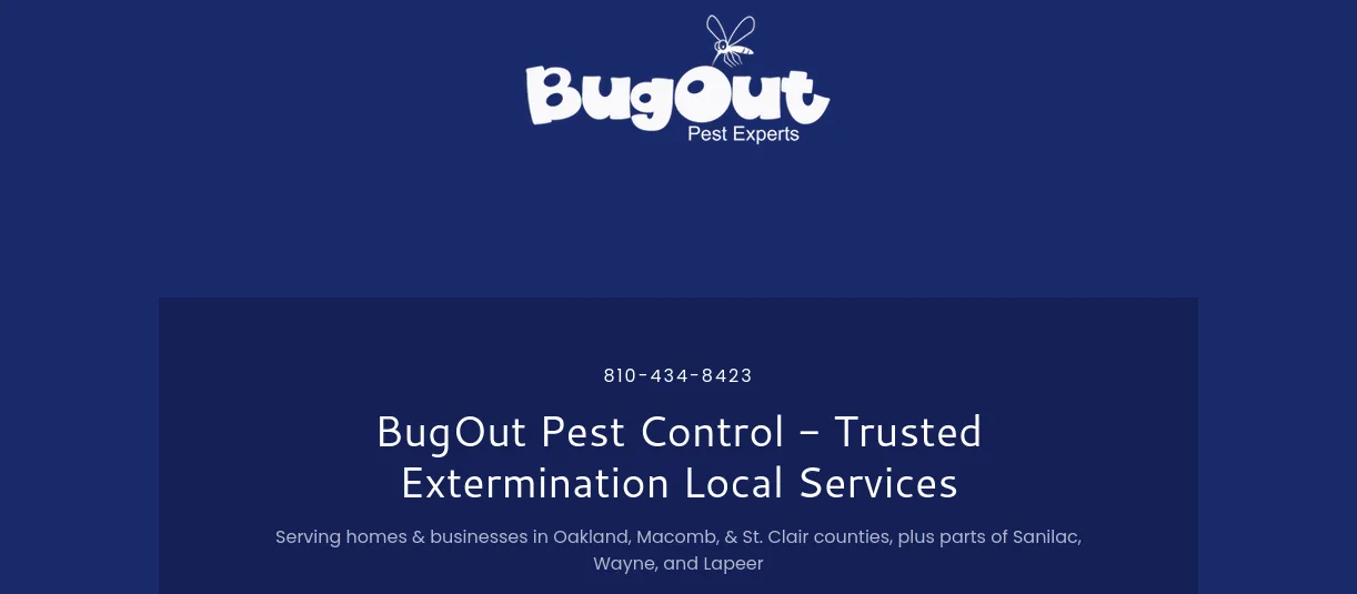 The new BugOut Pest Experts homepage